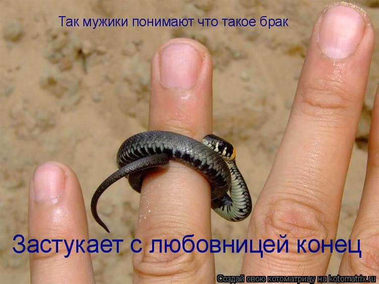 Котоматрица: Так мужики понимают что такое брак Застукает с любовницей конец