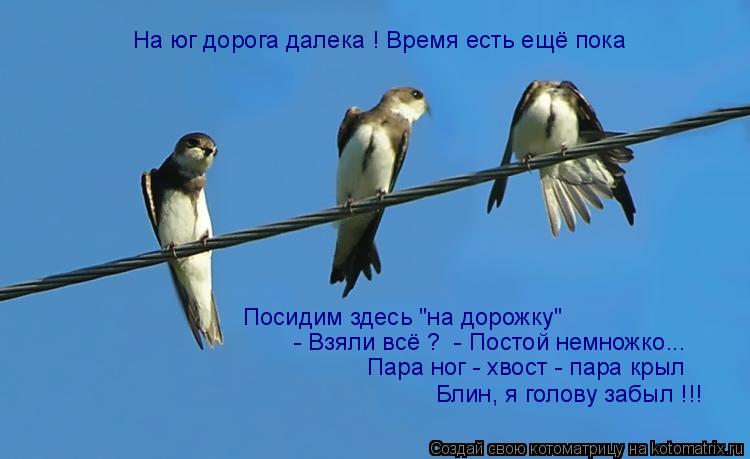 Котоматрица: Посидим здесь "на дорожку" - Взяли всё ?  - Постой немножко... Пара ног - хвост - пара крыл Блин, я голову забыл !!! На юг дорога далека ! Время есть 