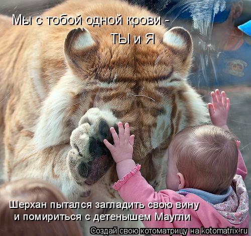 Мы с тобой одной крови - ТЫ и Я Шерхан пытался загладить свою вину и помириться с детенышем Маугли... Котоматрица: Мы с тобой одной крови - ТЫ и Я Шерхан пытался загладить свою вину и помириться с детенышем Маугли