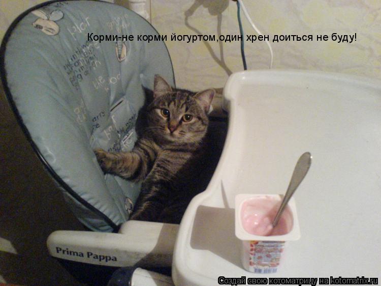 Корми-не корми йогуртом,один хрен доиться не буду!... Котоматрица: Корми-не корми йогуртом,один хрен доиться не буду!