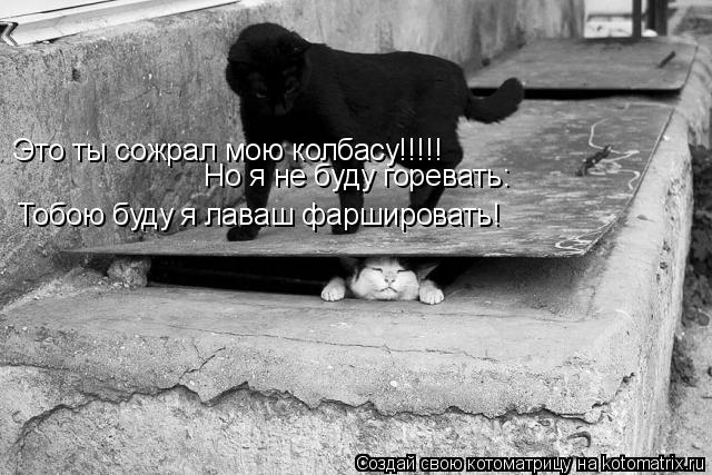 Котоматрица: Это ты сожрал мою колбасу!!!!! Но я не буду горевать: Тобою буду я лаваш фаршировать!