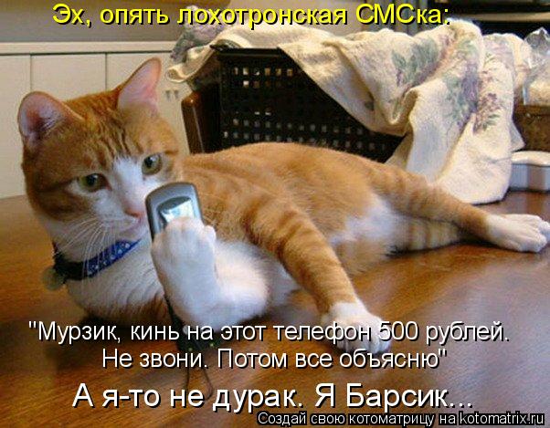 "Мурзик, кинь на этот телефон 500 рублей. Не звони. Потом все объясню" А я-то не дурак. Я Барсик... Э... Котоматрица: "Мурзик, кинь на этот телефон 500 рублей. Не звони. Потом все объясню" А я-то не дурак. Я Барсик... Эх, опять лохотронская СМСка:
