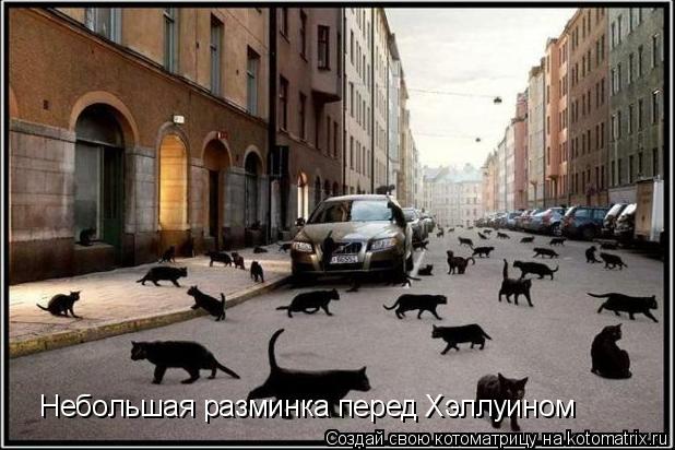Котоматрица: Небольшая разминка перед Хэллуином
