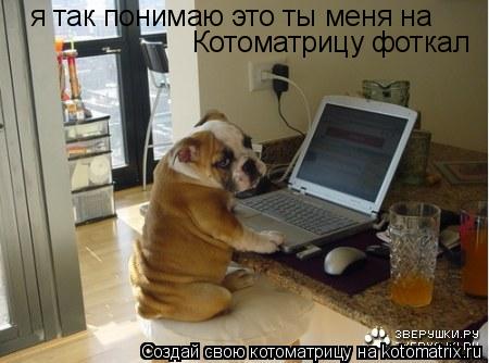 Котоматрица: я так понимаю это ты меня на Котоматрицу фоткал