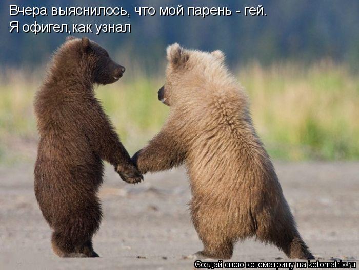 Котоматрица: Вчера выяснилось, что мой парень - гей.  Я офигел,как узнал