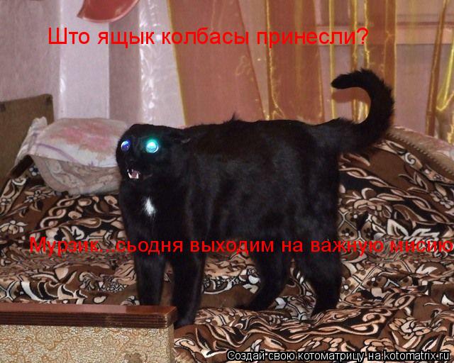 Котоматрица: Што ящык колбасы принесли?  Мурзик...сьодня выходим на важную мисию!