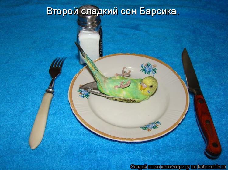 Котоматрица: Второй сладкий сон Барсика.