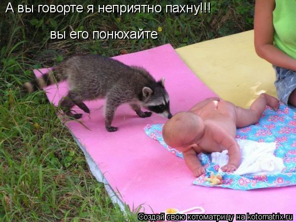 Котоматрица: А вы говорте я неприятно пахну!!!  вы его понюхайте