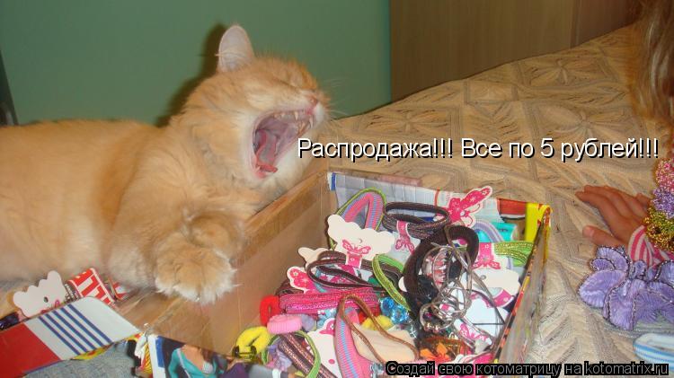 Котоматрица: Распродажа!!! Все по 5 рублей!!!