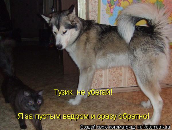 Котоматрица: Тузик, не убегай!  Я за пустым ведром и сразу обратно!