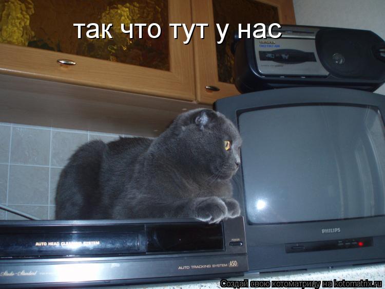 Котоматрица: так что тут у нас