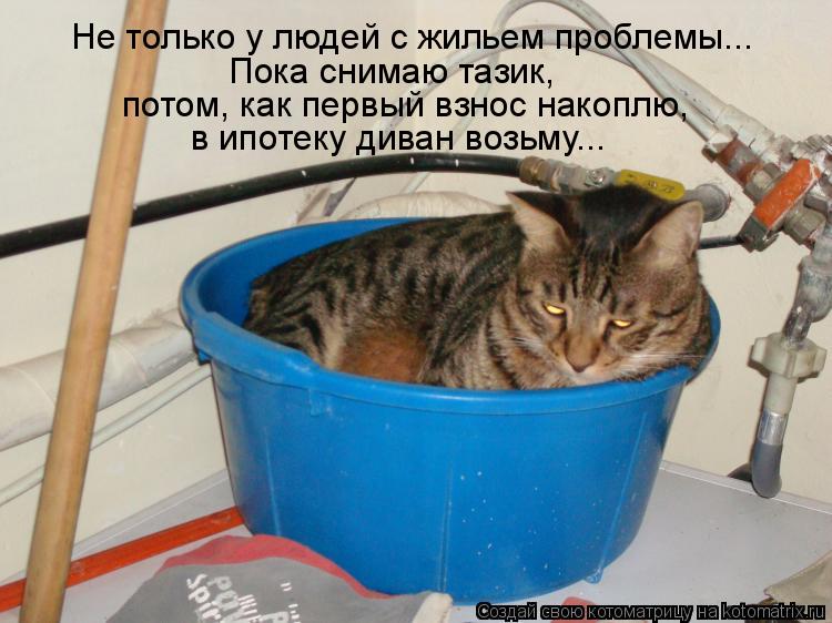 что взял квартиру в ипотеку потом женился Элвин был