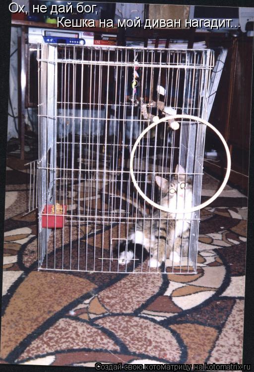 Котоматрица: Ох, не дай бог,  Кешка на мой диван нагадит...
