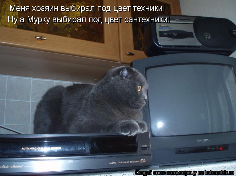 Котоматрица: Меня хозяин выбирал под цвет техники! Ну а Мурку выбирал под цвет сантехники!
