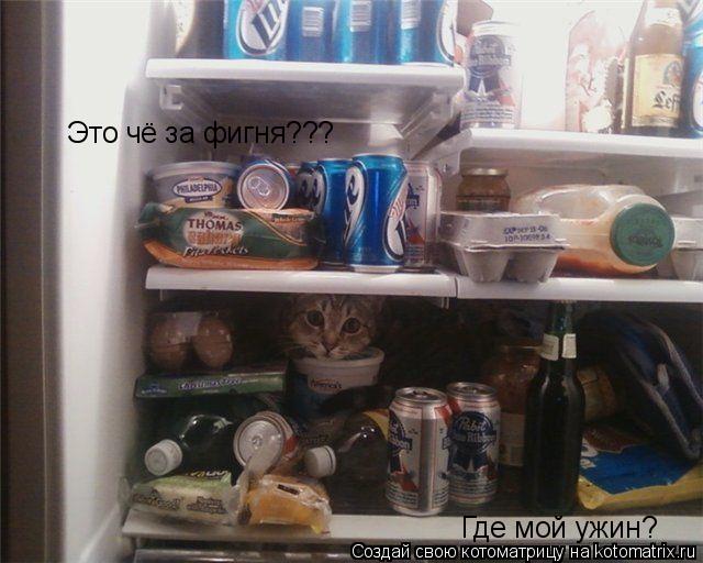 Котоматрица: Это чё за фигня??? Где мой ужин?