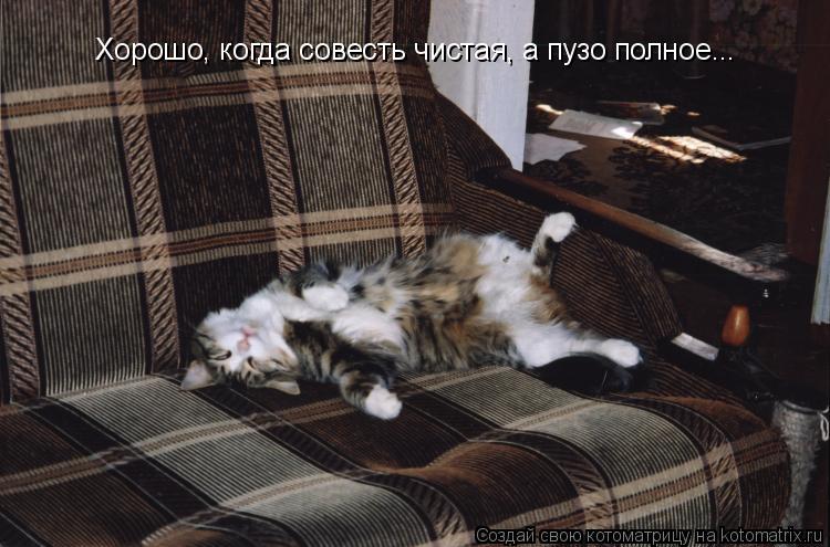 Котоматрица: Хорошо, когда совесть чистая, а пузо полное...