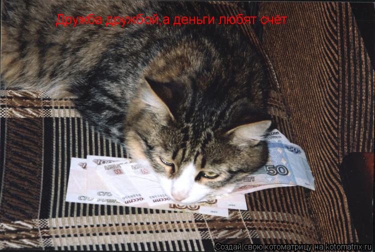 Котоматрица: Дружба дружбой,а деньги любят счёт