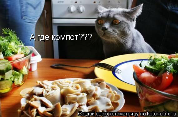 Котоматрица: А где компот???