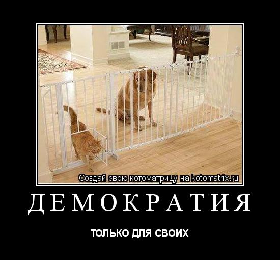 Демократия ТОЛЬКО ДЛЯ СВОИХ... Котоматрица: Демократия ТОЛЬКО ДЛЯ СВОИХ