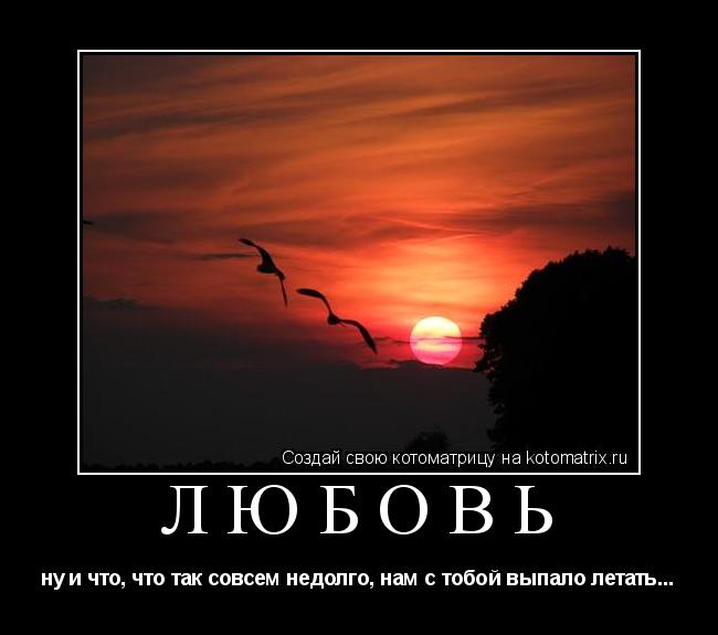 Котоматрица: ЛЮБОВЬ ну и что, что так совсем недолго, нам с тобой выпало летать...