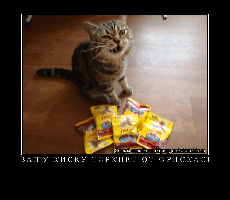 Котоматрица: Вашу киску торкнет от фрискас! 