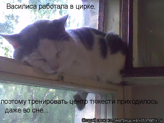 Котоматрица: поэтому тренировать центр тяжести приходилось даже во сне... Василиса работала в цирке,