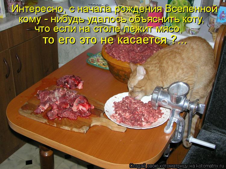 Котоматрица: Интересно, с начала рождения Вселенной кому - нибудь удалось объяснить коту, что если на столе лежит мясо, то его это не касается ?...