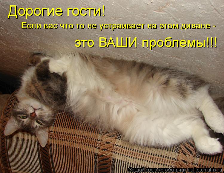 Котоматрица: Дорогие гости! Если вас что то не устраивает на этом диване - это ВАШИ проблемы!!!