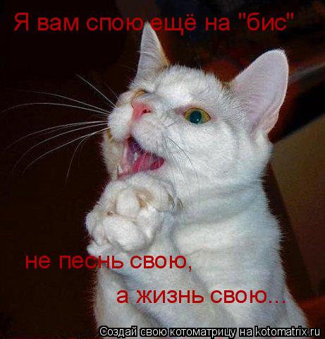 Котоматрица: Я вам спою ещё на "бис" не песнь свою, а жизнь свою...