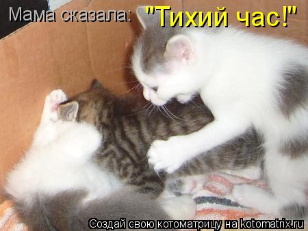 Котоматрица: Мама сказала:  "Тихий час!"