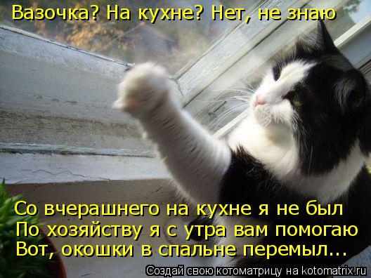 Вазочка? На кухне? Нет, не знаю Со вчерашнего на кухне я не был По хозяйству я с утра вам помогаю Вот... Котоматрица: Вазочка? На кухне? Нет, не знаю Со вчерашнего на кухне я не был По хозяйству я с утра вам помогаю Вот, окошки в спальне перемыл...