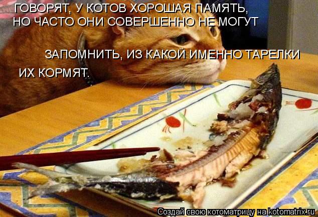 ГОВОРЯТ, У КОТОВ ХОРОШАЯ ПАМЯТЬ, НО ЧАСТО ОНИ СОВЕРШЕННО НЕ МОГУТ ЗАПОМНИТЬ, ИЗ КАКОЙ ИМЕННО ТАРЕЛКИ... Котоматрица: ГОВОРЯТ, У КОТОВ ХОРОШАЯ ПАМЯТЬ, НО ЧАСТО ОНИ СОВЕРШЕННО НЕ МОГУТ ЗАПОМНИТЬ, ИЗ КАКОЙ ИМЕННО ТАРЕЛКИ ИХ КОРМЯТ.