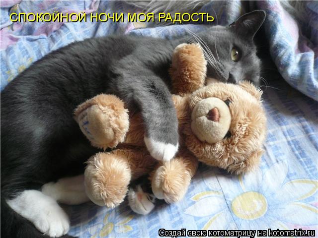 СПОКОЙНОЙ НОЧИ МОЯ РАДОСТЬ... Котоматрица: СПОКОЙНОЙ НОЧИ МОЯ РАДОСТЬ