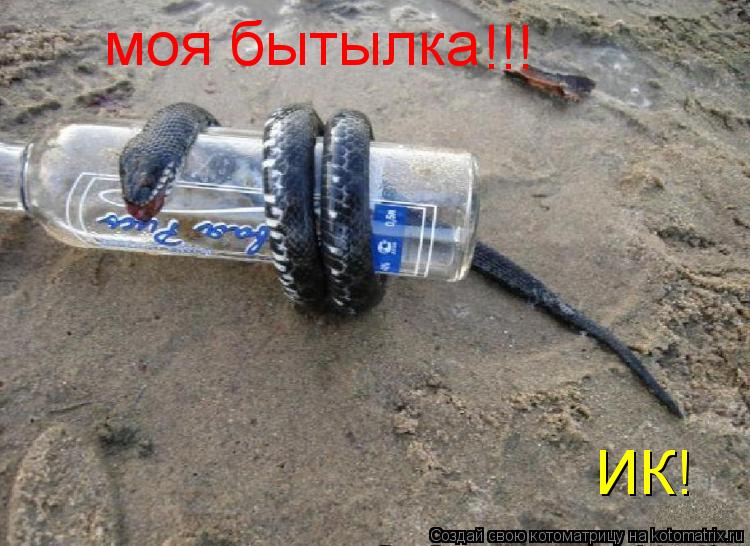 моя бытылка ИК! !!! !!!... Котоматрица: моя бытылка ИК! !!! !!!