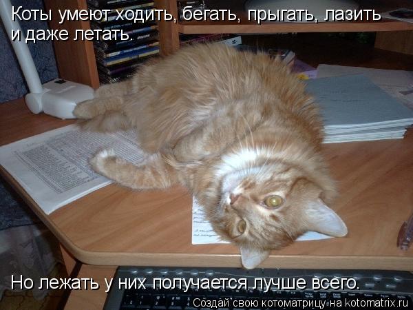 Коты умеют ходить, бегать, прыгать, лазить и даже летать. Но лежать у них получается лучше всего.... Котоматрица: Коты умеют ходить, бегать, прыгать, лазить и даже летать. Но лежать у них получается лучше всего.