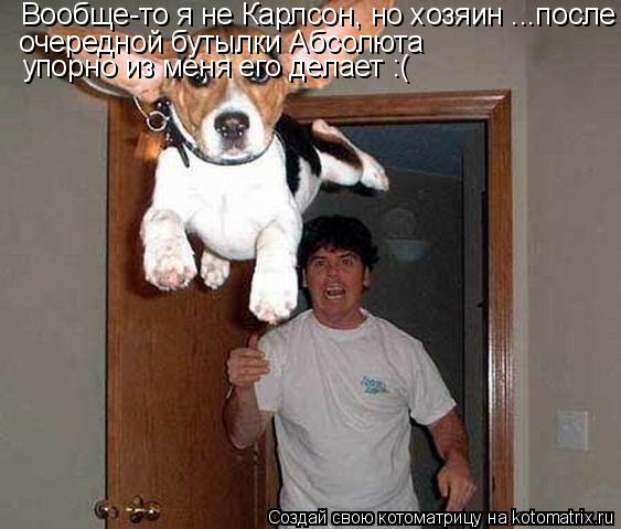 Вообще-то я не Карлсон, но хозяин ...после очередной бутылки Абсолюта очередной бутылки Абсолюта упор... Котоматрица: Вообще-то я не Карлсон, но хозяин ...после очередной бутылки Абсолюта очередной бутылки Абсолюта упорно из меня его делает :(