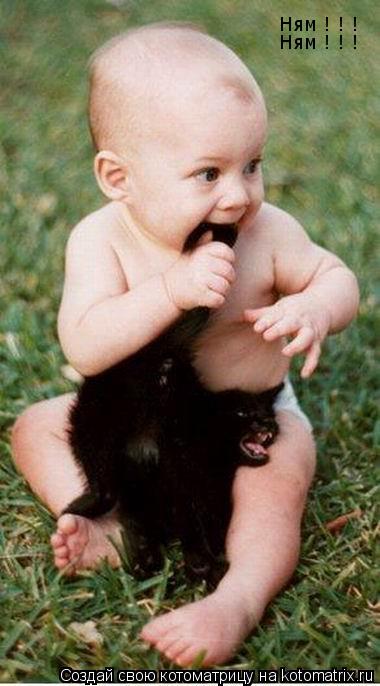 Ням ! ! ! Ням ! ! !... Котоматрица: Ням ! ! ! Ням ! ! !