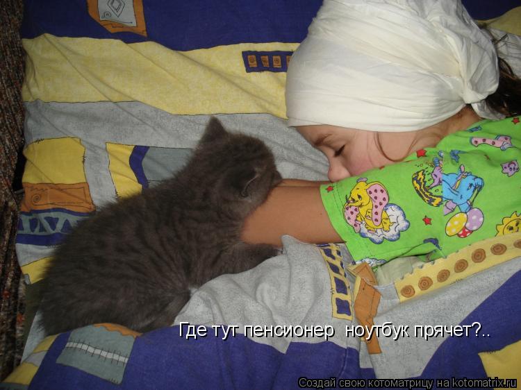 Где тут пенсионер ноутбук прячет?..... Котоматрица: Где тут пенсионер ноутбук прячет?..