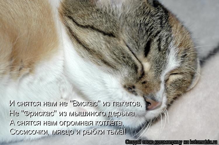Котоматрица: И снятся нам не "Вискас" из пакетов, Не "Фрискас" из мышиного дерьма, А снятся нам огромная котлета, Сосисочки, мясцо и рыбки тьма!