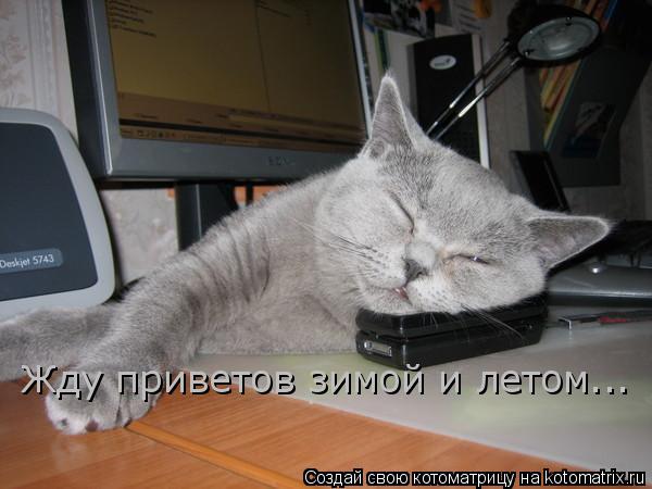Жду приветов зимой и летом...... Котоматрица: Жду приветов зимой и летом...