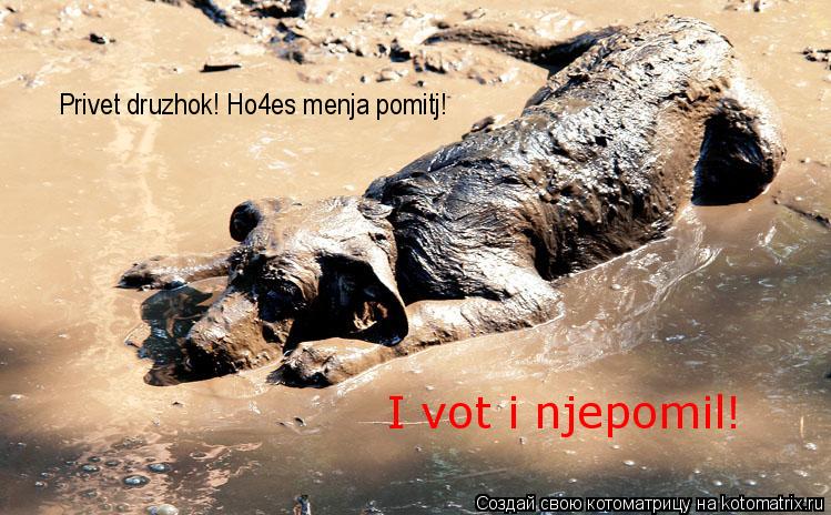Privet druzhok! Ho4es menja pomitj! I vot i njepomil!... Котоматрица: Privet druzhok! Ho4es menja pomitj! I vot i njepomil!