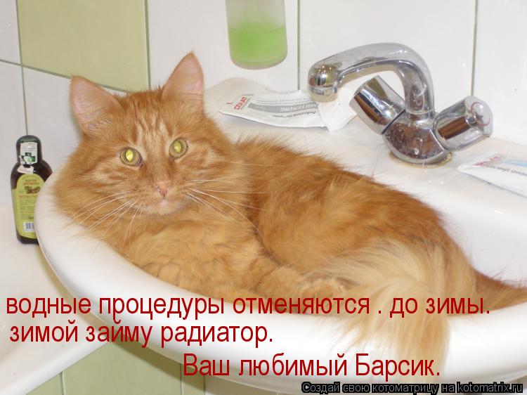 водные процедуры отменяются . до зимы. зимой займу радиатор. Ваш любимый Барсик.... Котоматрица: водные процедуры отменяются . до зимы. зимой займу радиатор. Ваш любимый Барсик.