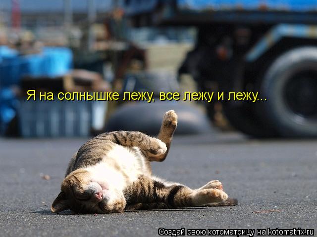 Я на солнышке лежу, все лежу и лежу...... Котоматрица: Я на солнышке лежу, все лежу и лежу...