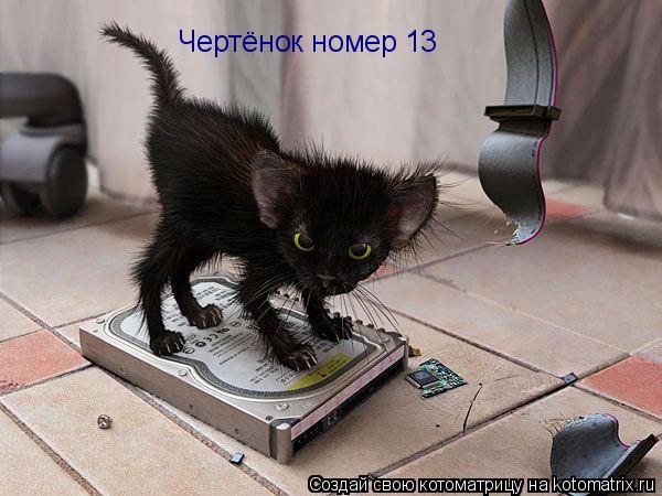 Чертёнок номер 13... Котоматрица: Чертёнок номер 13