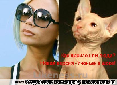 Как произошли люди? Новая версия -Учоные в шоке!... Котоматрица: Как произошли люди? Новая версия -Учоные в шоке!