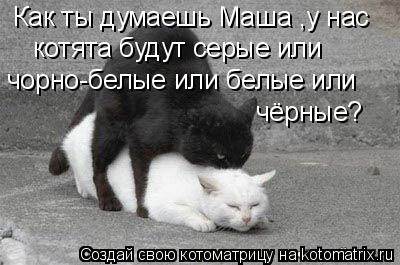 Котоматрица: Как ты думаешь Маша ,у нас  котята будут серые или  чорно-белые или белые или чёрные?