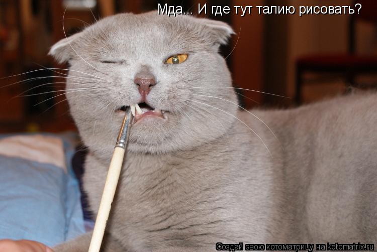 Котоматрица: Мда... И где тут талию рисовать?