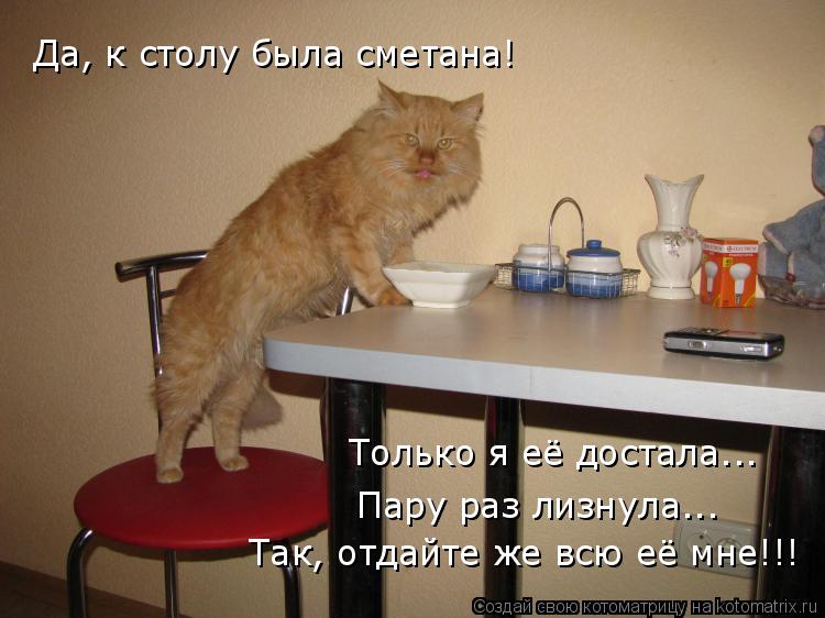 Котоматрица: Да, к столу была сметана! Только я её достала... Пару раз лизнула... Так, отдайте же всю её мне!!!