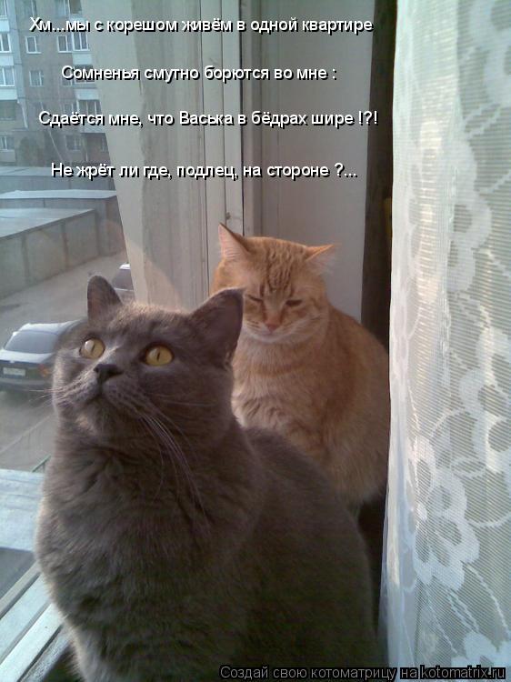 Котоматрица: Не жрёт ли где, подлец, на стороне ?... Сомненья смутно борются во мне : Хм...мы с корешом живём в одной квартире Сдаётся мне, что Васька в бёдрах