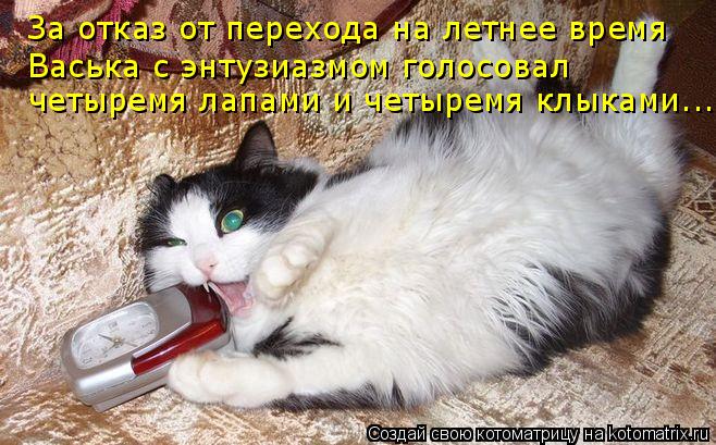 Котоматрица: четыремя лапами и четыремя клыками... Васька с энтузиазмом голосовал За отказ от перехода на летнее время